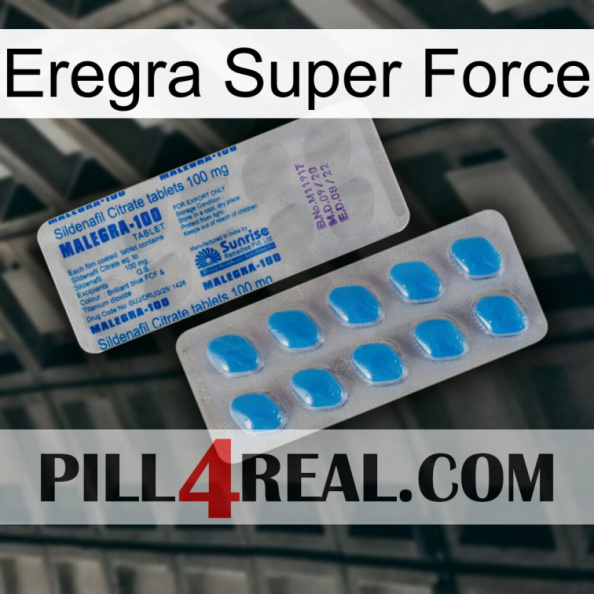 Eregra Super Force new15.jpg